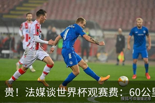 贵！法媒谈世界杯观赛费：60公里火车98美元，有人4天花4500欧元